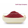 Bulk beet root powder supplier